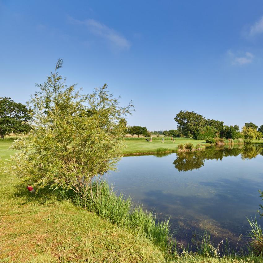 le-golf-autour-du-restaurant 5